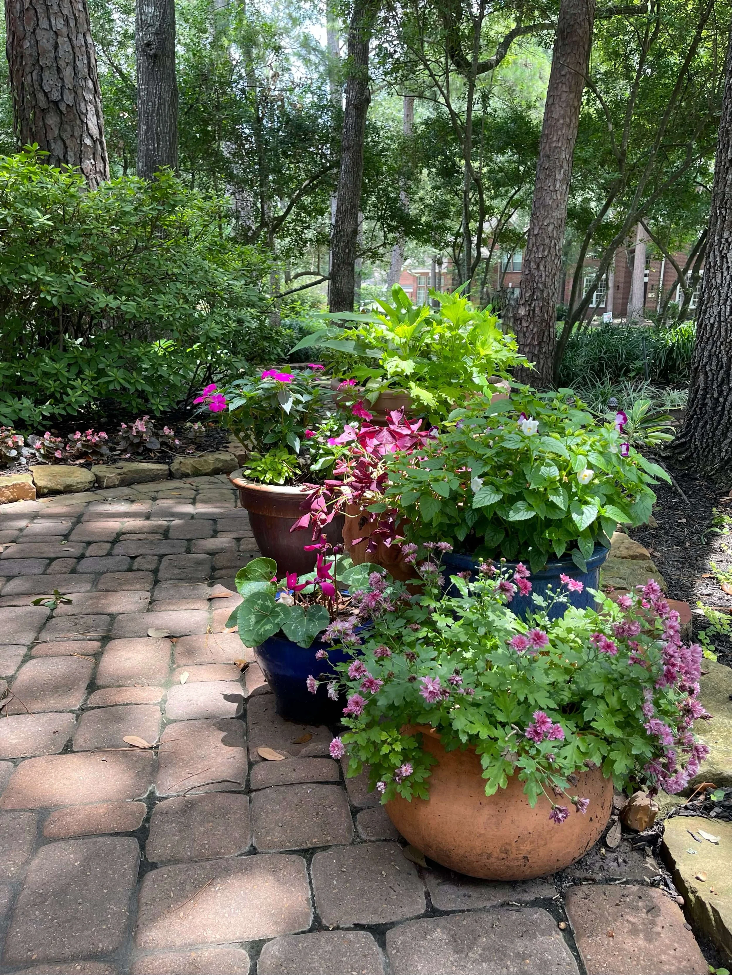 Gardening Has Captured My Heart Again — DESIGNED